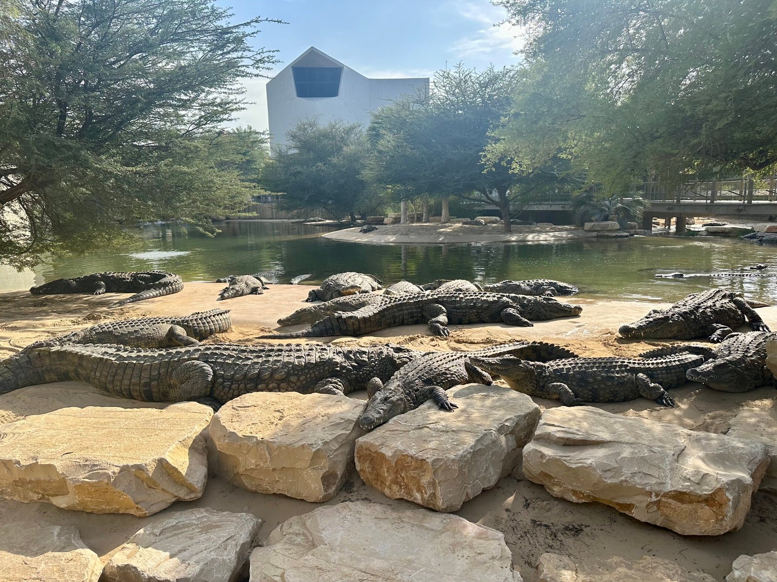 Crocodile Park : Présentation