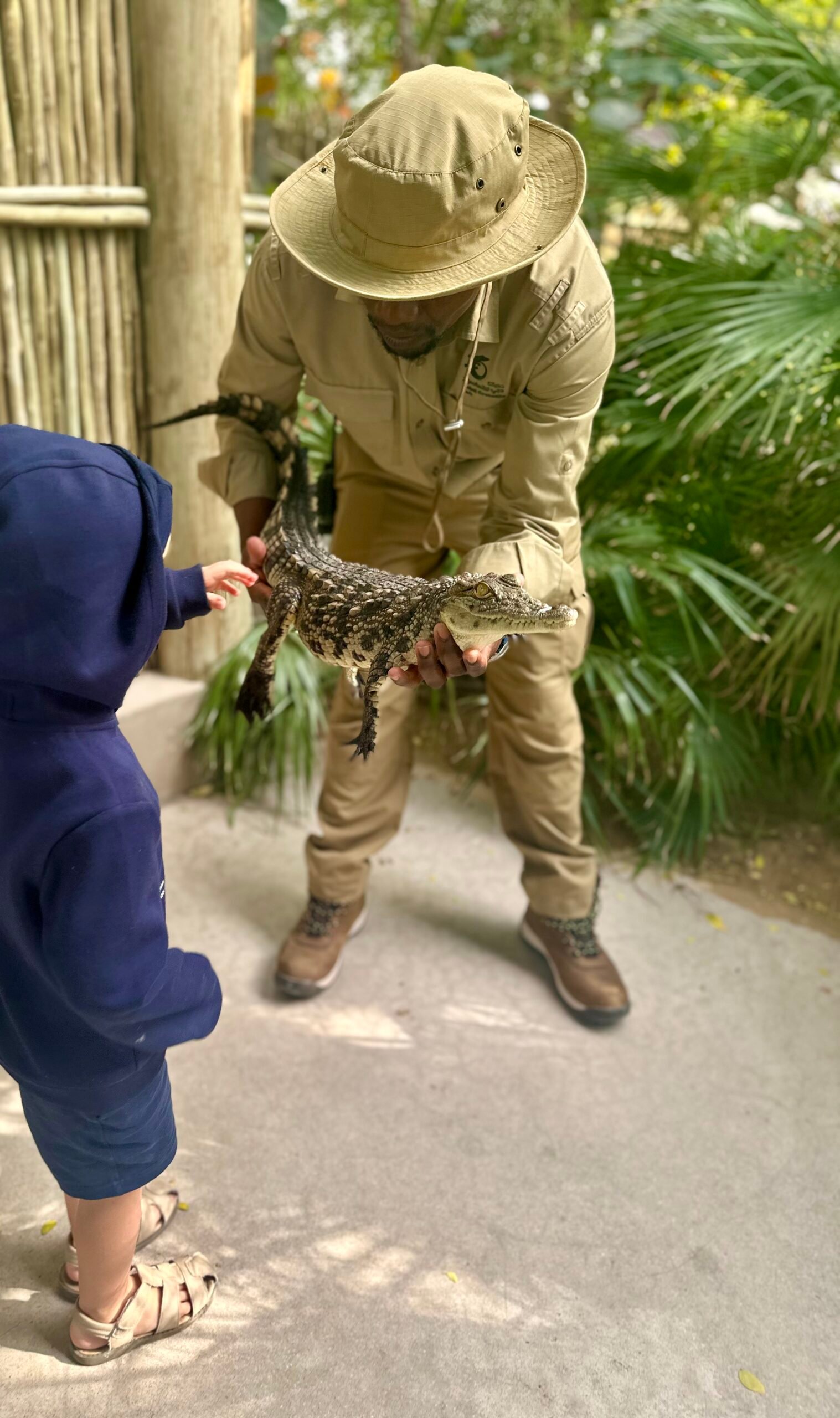 Crocodile Park : Présentation